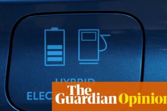 Early phase-out of full hybrid vehicles may be a political risk too far for UK ministers | Nils Pratley