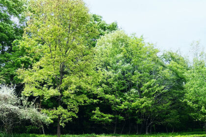 Resource Circulation | Environment Initiatives