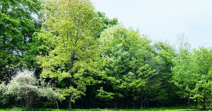 Resource Circulation | Environment Initiatives