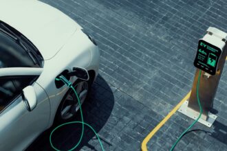 European Market Monitor: Cars and vans 2024