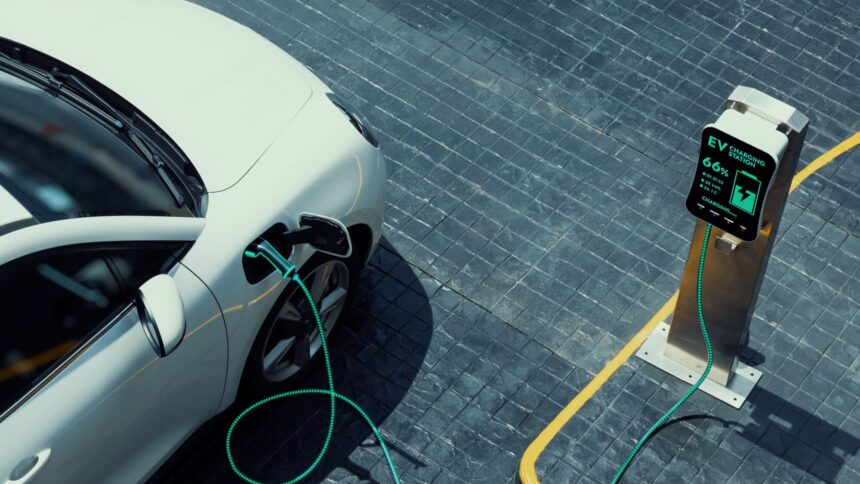 European Market Monitor: Cars and vans 2024
