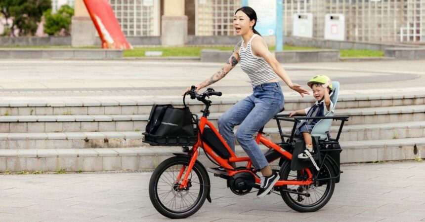 Here are the best electric bikes you can buy at every price level in February 2025