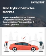 Mild Hybrid Vehicles Market Size & Share